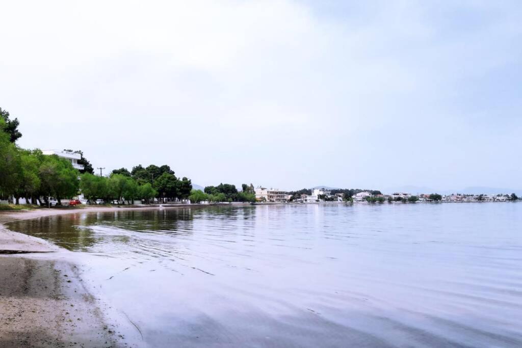 Πολυτελές Διαμέρισμα 2 Χαλκίδα-Παραλία Αυλίδος Paralia Avlidhos Exterior photo